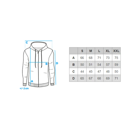 Pelēks vīriešu džemperis ar kapuci Vytis B979