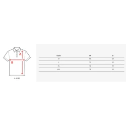 Vīriešu brūns polo krekliņš Metrol