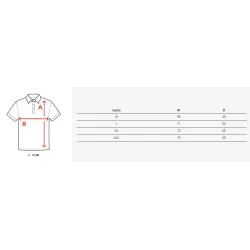 Men's grey polo shirt Metrol