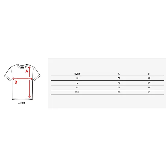 Męski biały T-shirt Lines RX5568