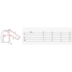 Vīriešu pelēks džemperis Rich