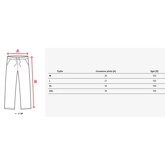 Vīriešu gaiši pelēkas ikdienas bikses Anti UX4430