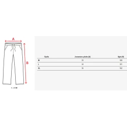 Vīriešu sarkanas ikdienas bikses Harin