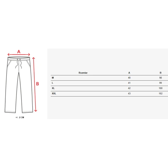 Vīriešu gaiši pelēkas ikdienas bikses Denil Bikses