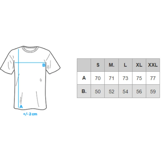 Vīriešu pelēks T-krekls Brak V4 OM-TSCT-0198