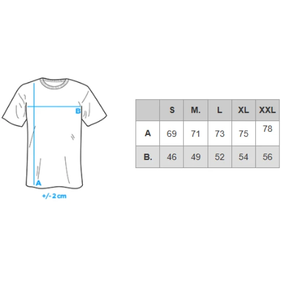 Vīriešu pelēks T-krekls Montel V8 OM-TSWT-0242