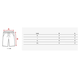 Vīriešu piparmētru šorti Flesy