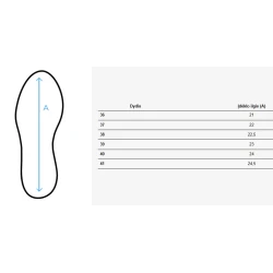 Sieviešu brūni ikdienas apavi LANSI