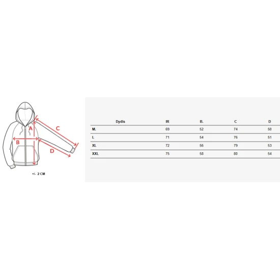 Vīriešu pelēks džemperis Winer BX5892
