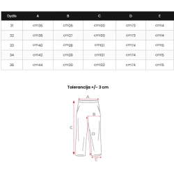 Vīriešu zili džinsi Styvin