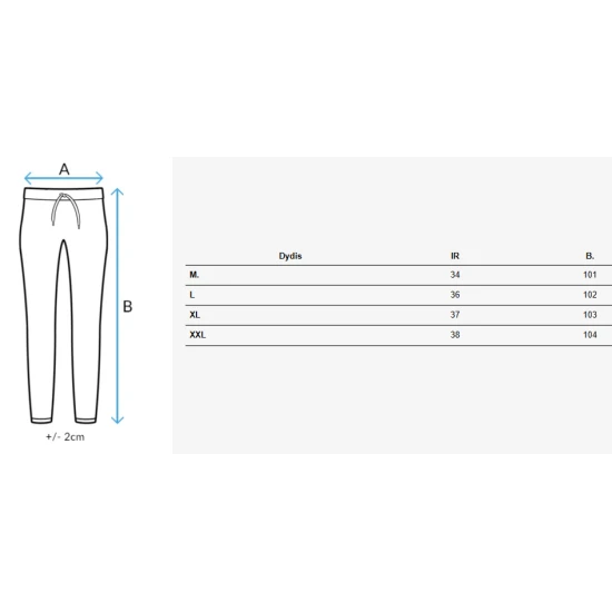 Sieviešu gaiši pelēkas ikdienas bikses Fiona UY2646