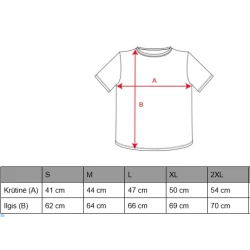 Sieviešu pelēks T-krekls FIYI