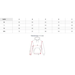 Vīriešu pelēks džemperis Icon2