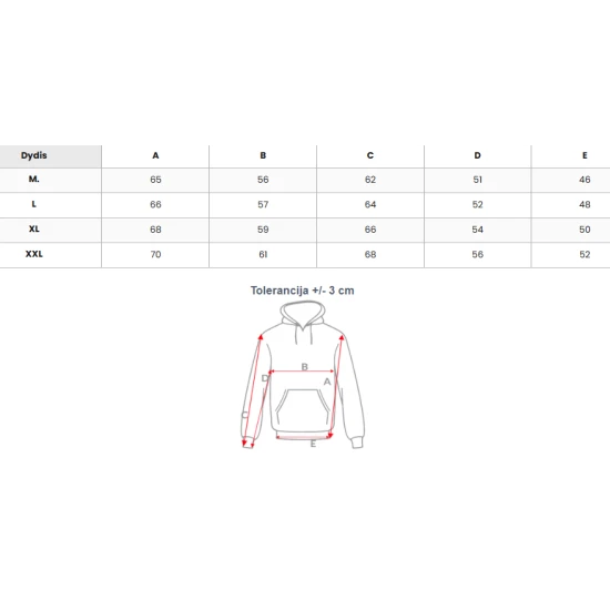 Vīriešu pelēks džemperis Icon2 Džemperi ar kapuci