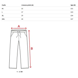 Vīriešu pelēkas bikses Dean