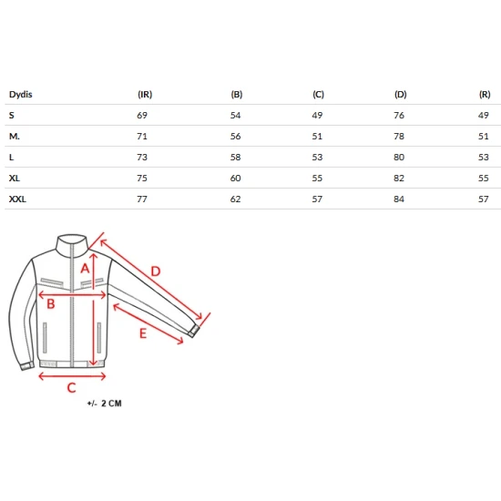 Vīriešu pelēka ziemas jaka Tamil Ziemas jakas