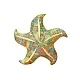 Mascot Plush Starfish Green Pillow 45 cm Plīša rotaļlietas