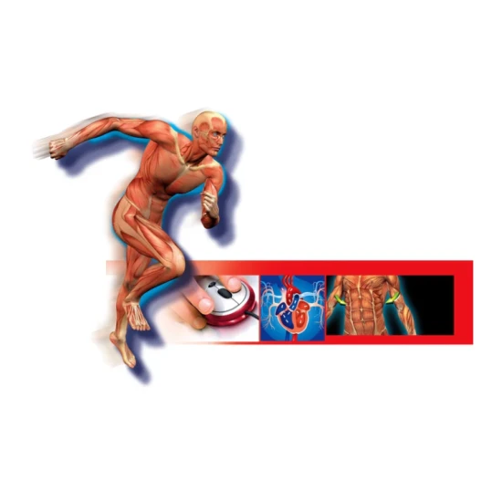 Cilvēka ķermenis poļu valodā Clementoni 60249 Saimnieki