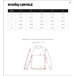 Pelēks džemperis dāmām Magi