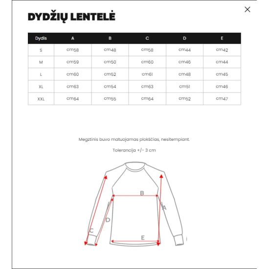 Pelēks džemperis dāmām Magi JS/W02Z