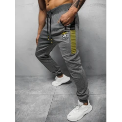 Vīriešu tumši pelēkas ikdienas bikses Liter