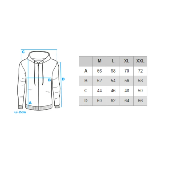 Vīriešu pelēks džemperis Tribe B1618