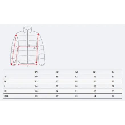 Vīriešu pelēka jaka Donald PK9353 Premium